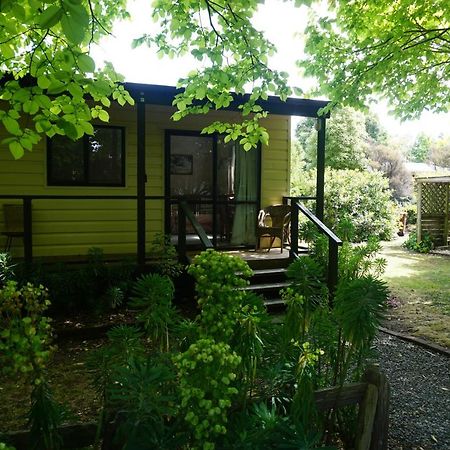Ivy'S Cottage Greytown Exterior foto